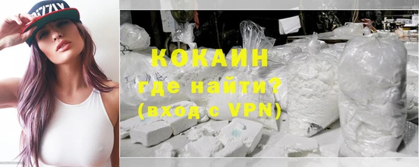 винт Алзамай