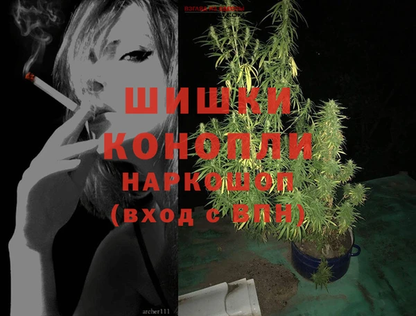 винт Алзамай