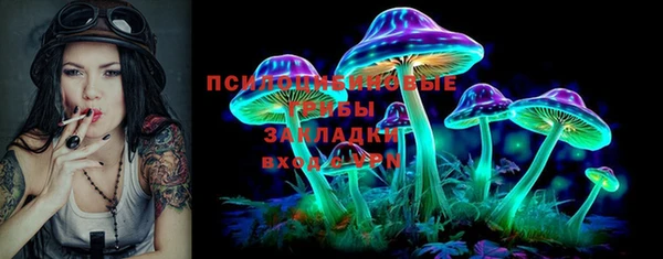 винт Алзамай