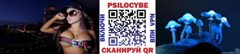 Псилоцибиновые грибы Magic Shrooms  где купить наркоту  Махачкала 